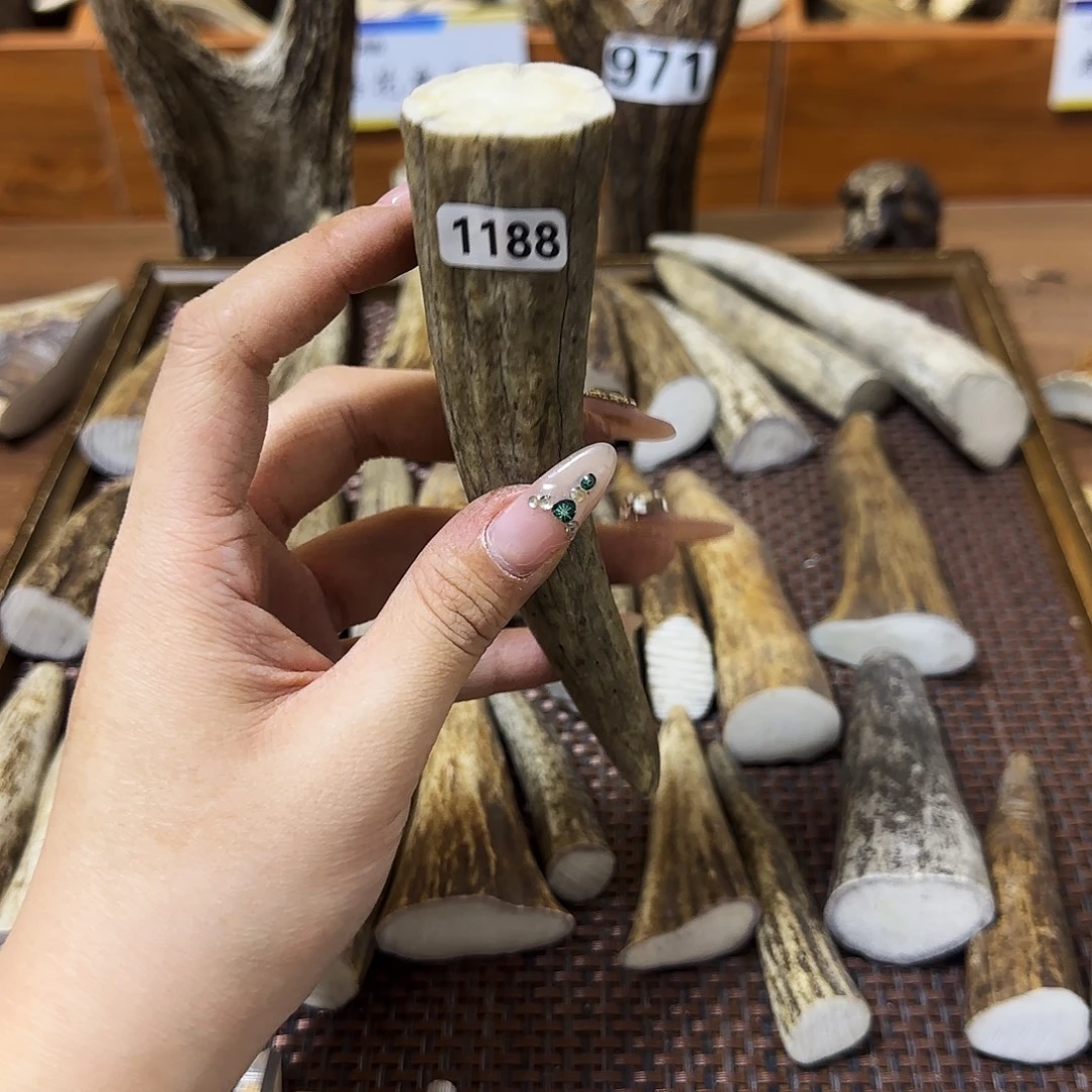 鹿骨手串/手链1188角尖