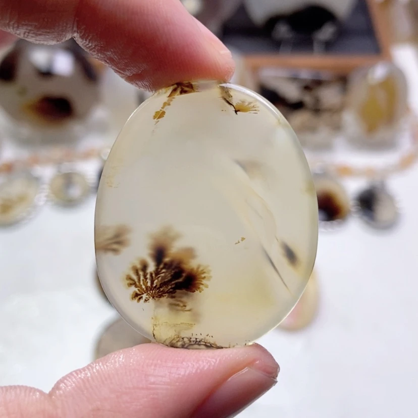 【闪购商品】玛瑙/玉髓颈饰未镶嵌