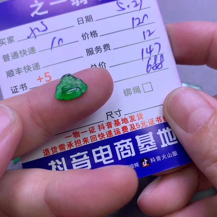 翡翠未镶嵌颈饰小****发