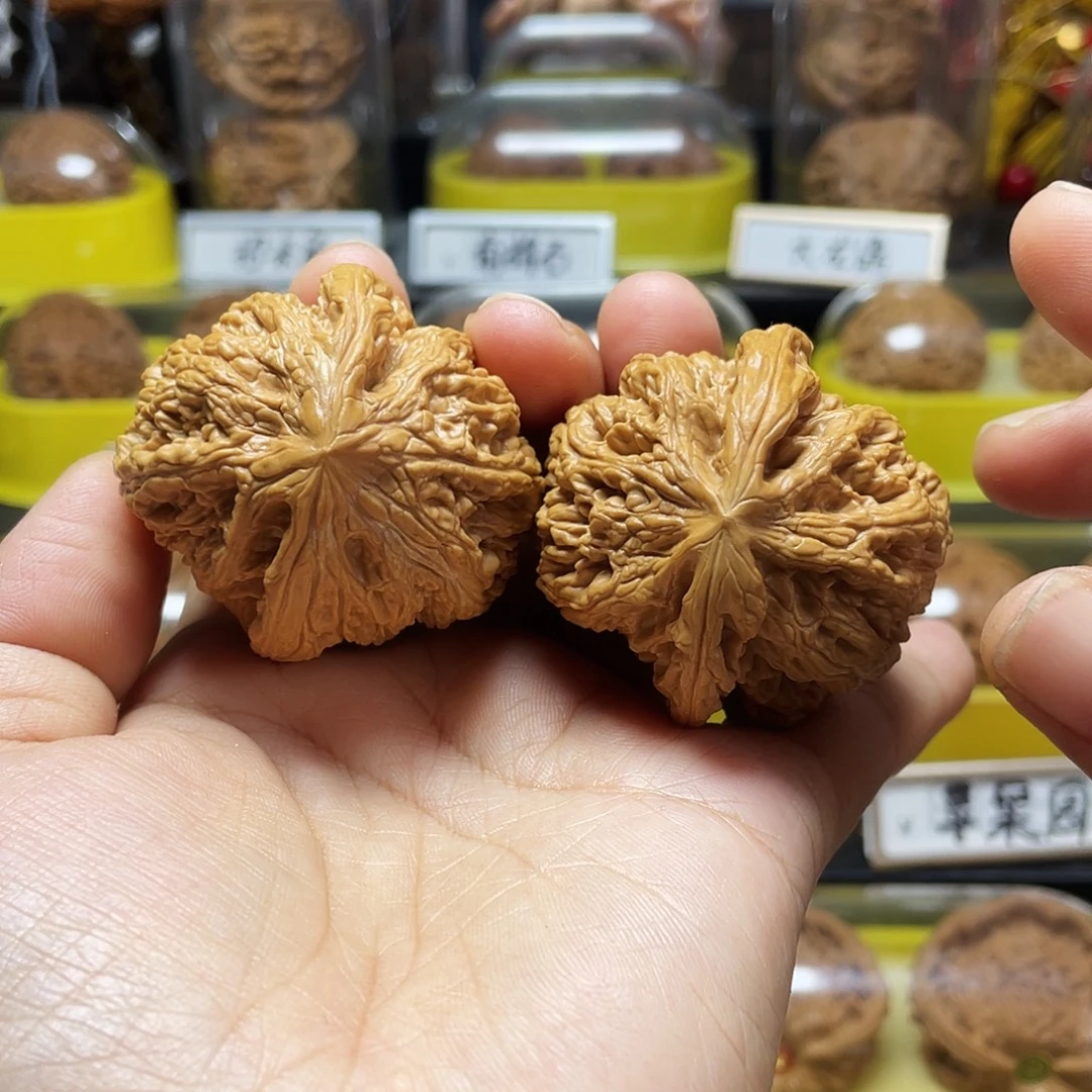 木质大粗筋45尺寸896588