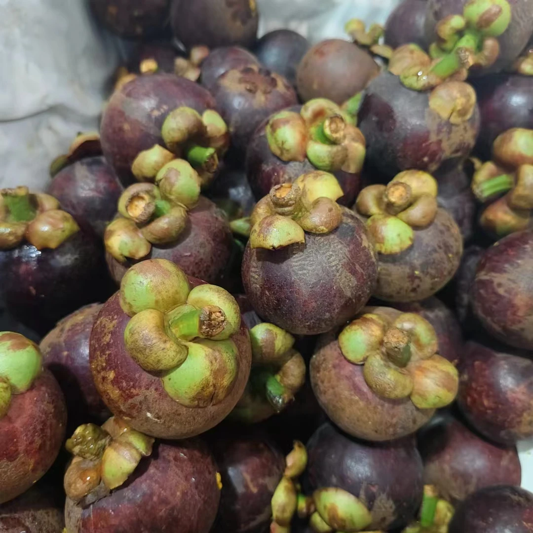 【6A麻竹】泰国进口山竹  饱满味甜 白嫩多汁