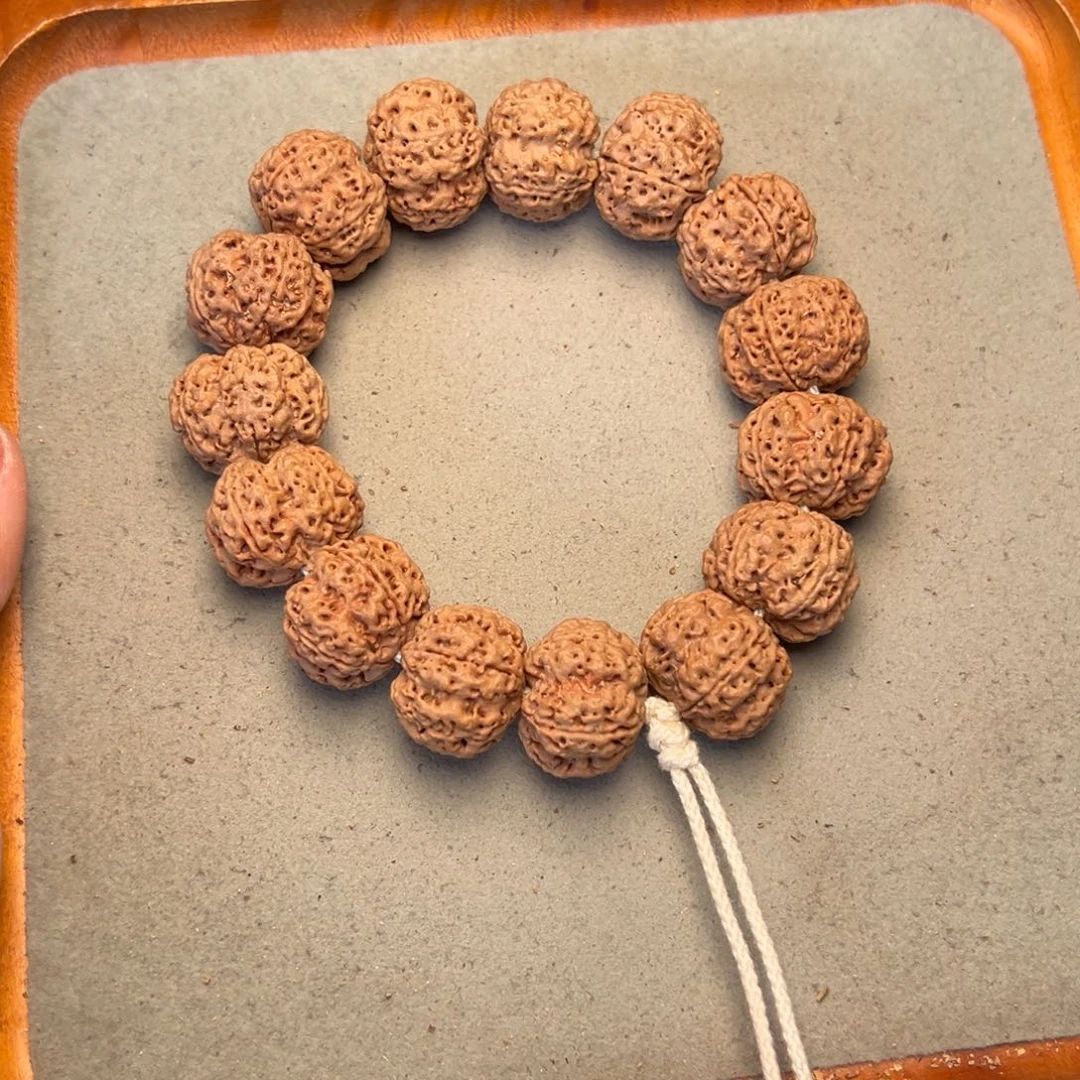 菩提34号金刚菩提安娜梅花23