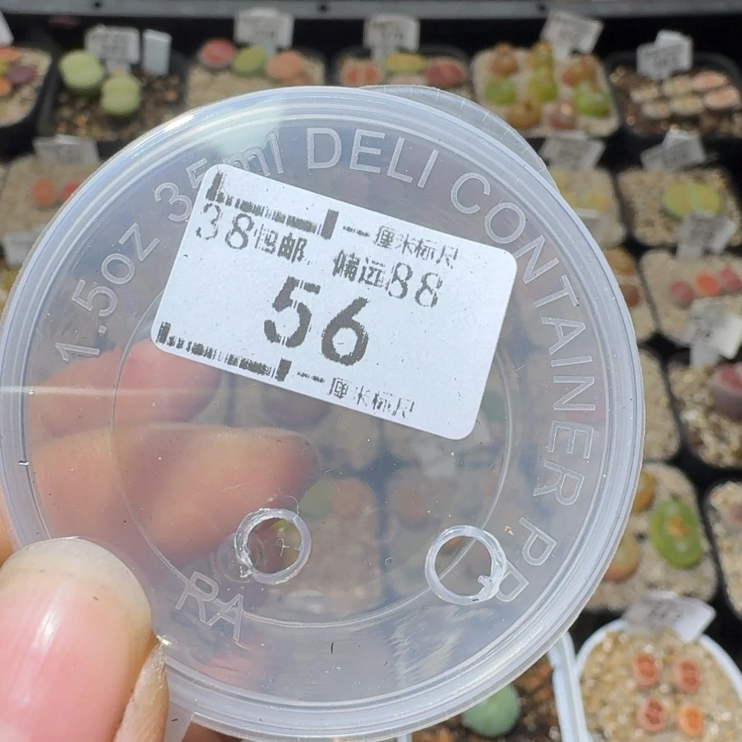 Ssssss56补邮链接