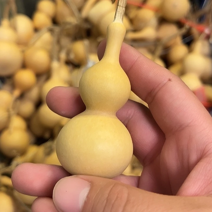 静***开有机玻璃蚂蚁蚂蚁蚂蚁蚂蚁