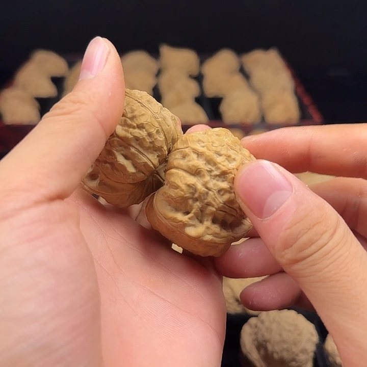 大***子吊坠龙脊菩提啊啊啊啊啊啊啊南瓜3