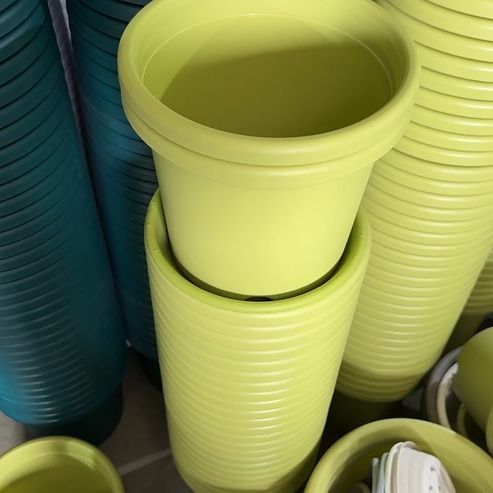 四季4#口径25果绿5个带拖