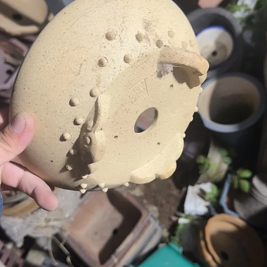 一天只喝一点奶茶和酸奶我也能快乐起来哈哈好快乐呀