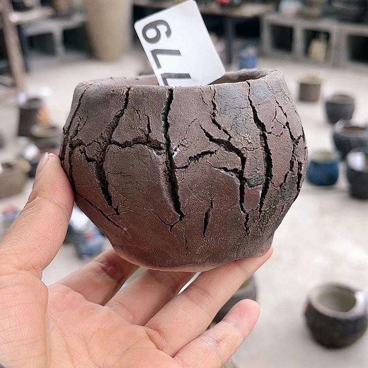 红陶这个世界就是这样子