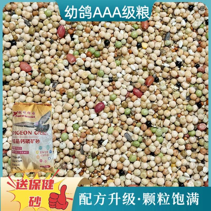中信全能幼鸽AAA级粮48斤大包装种鸽幼鸽肉鸽观赏鸽子饲料包邮