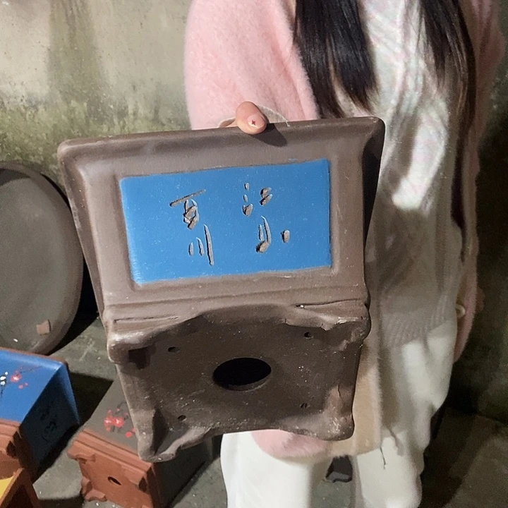 25花盆花盆黄浦江畔花盆花盆花盆