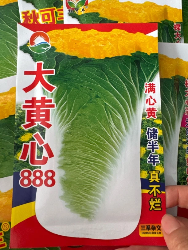 大黄心888高颗白菜籽优质种子(70天)