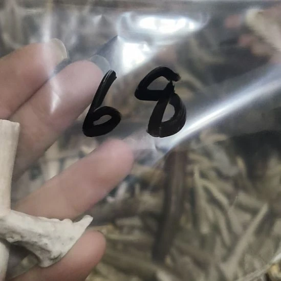 云***士鹿角鹿角鹿角鹿角鹿角鹿角