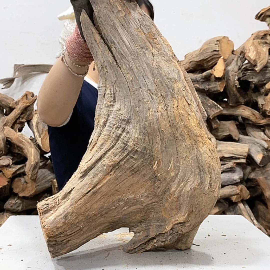 【闪购商品】柏木好****安我们都是好孩子啊