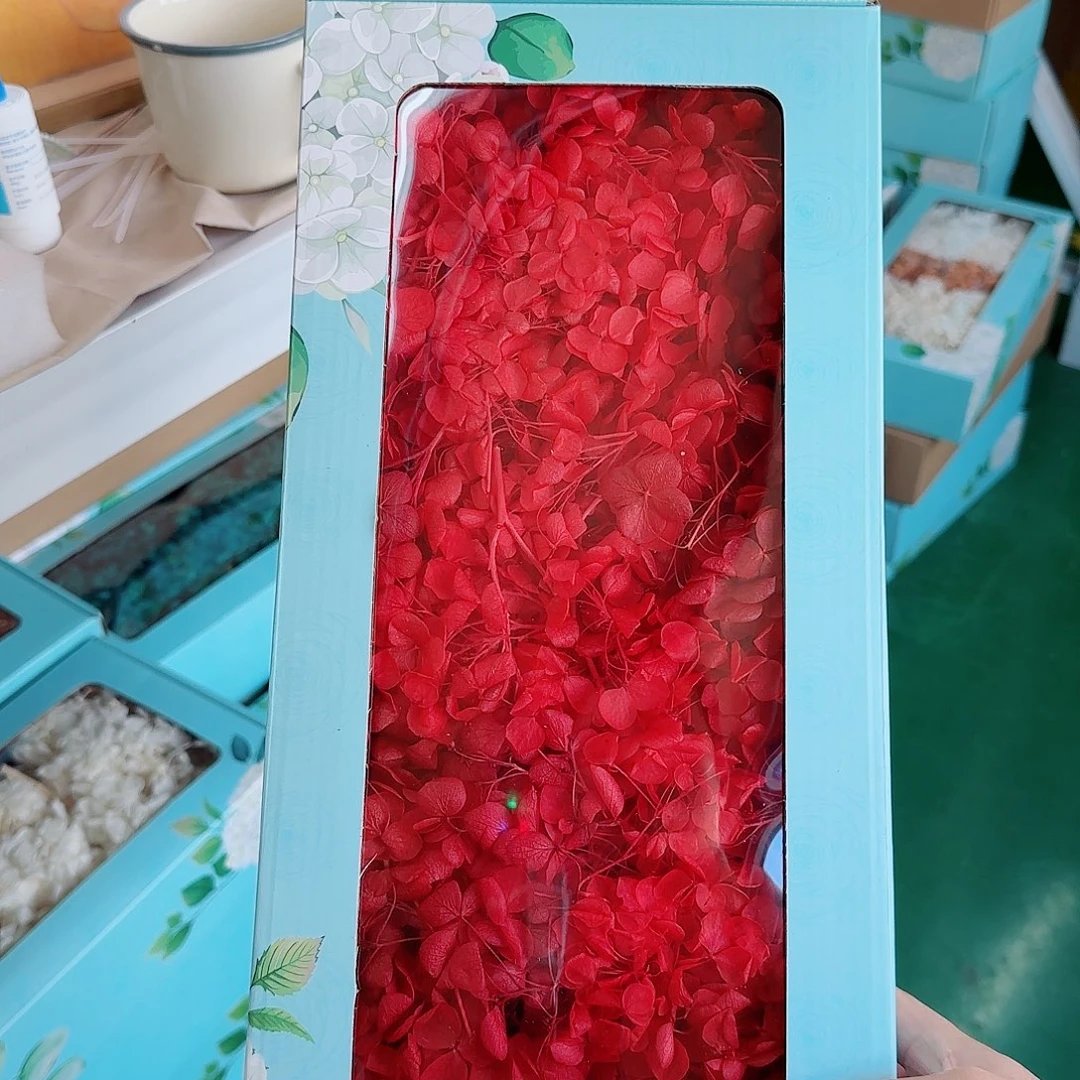 正红色大盒绣球1盒