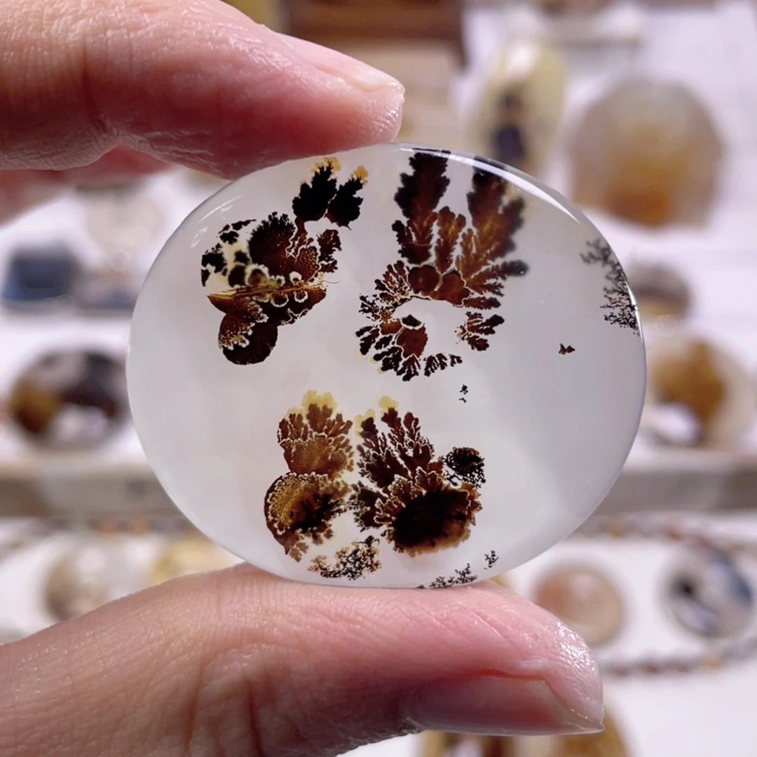 西***憶玛瑙/玉髓未镶嵌颈饰