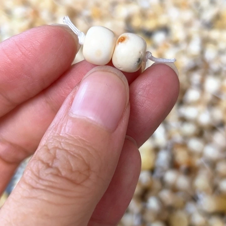 裸石蜜蜡未镶嵌9mm一对