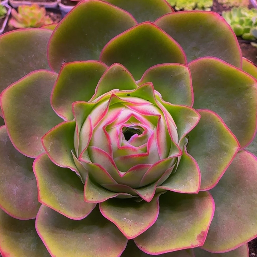 落霞158558858568538538555