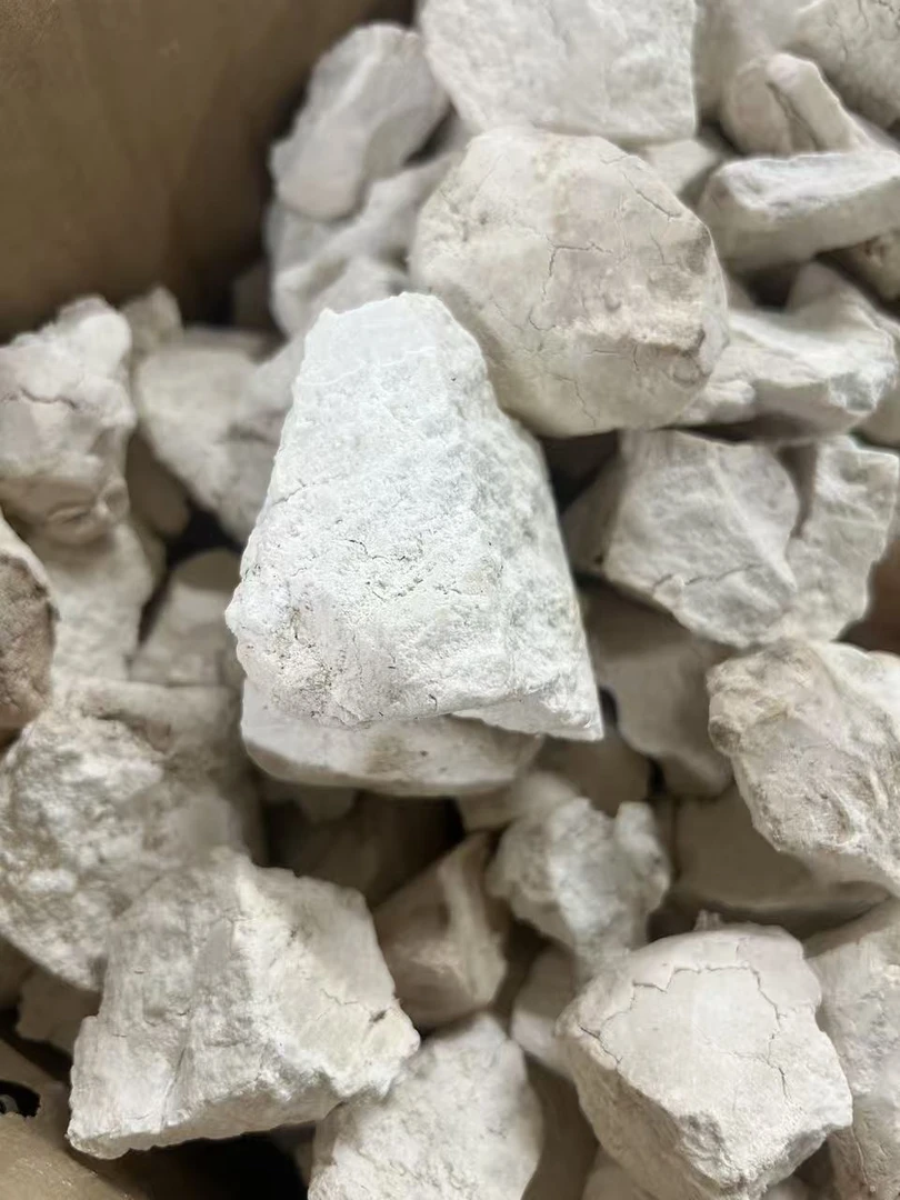 【顺德拉叔臻品】精选老树茯苓块 500g （百合干）