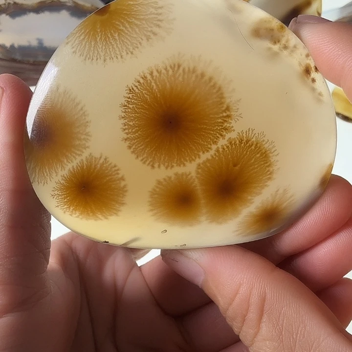 玛瑙/玉髓未镶嵌珠宝半成品
