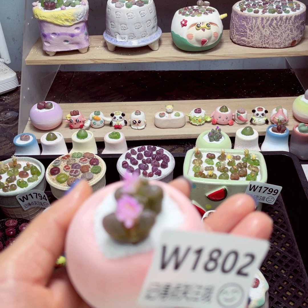 零下地区拍保温箱w1802