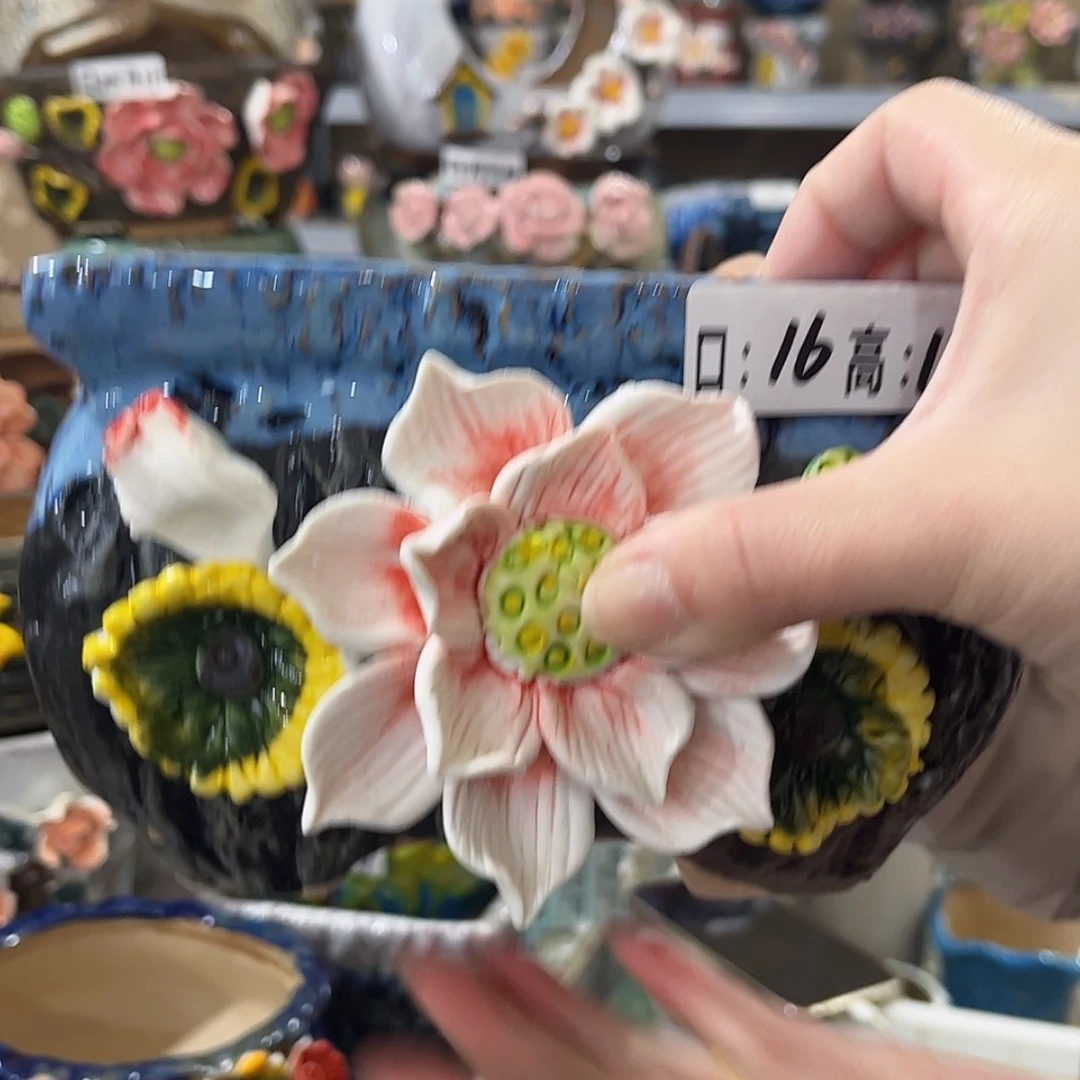 【闪购商品】红陶福利