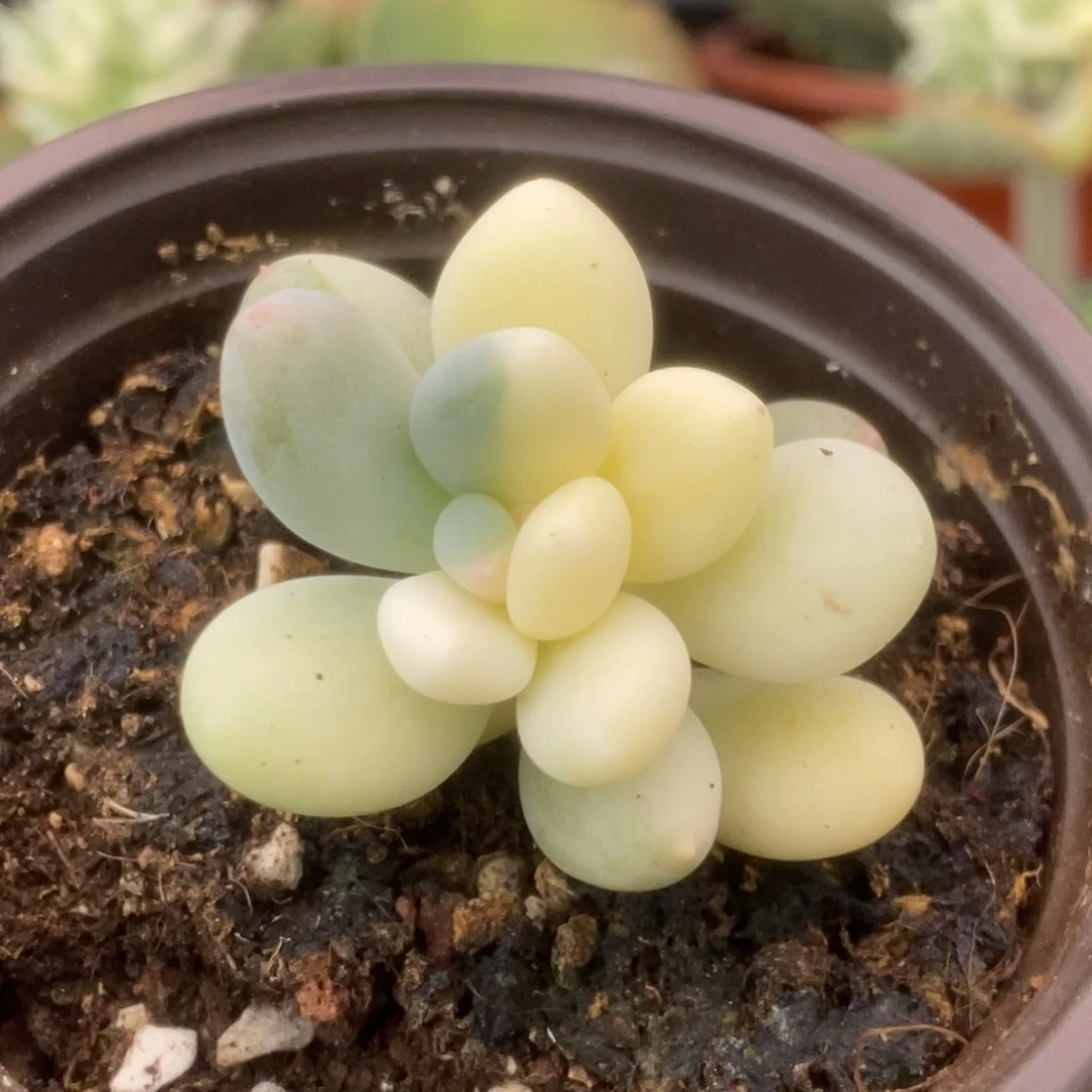 640彩虹杂锦锦锦锦锦锦锦锦