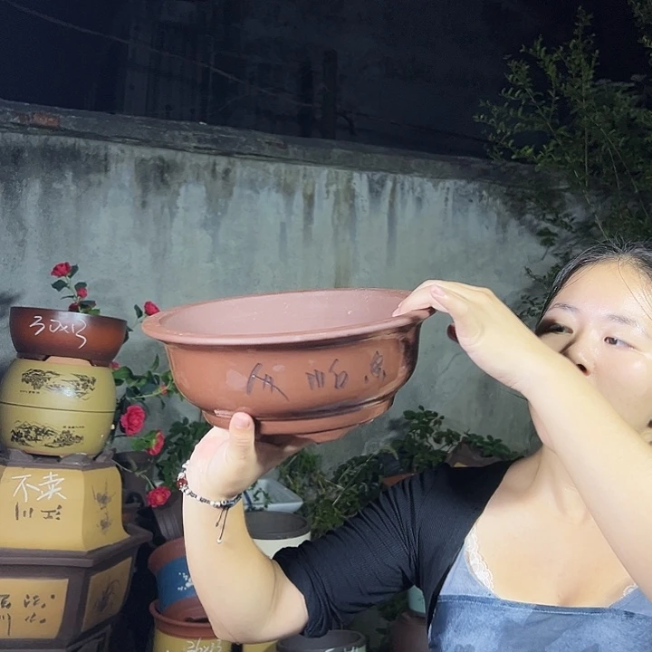033中号一个花盆花盆