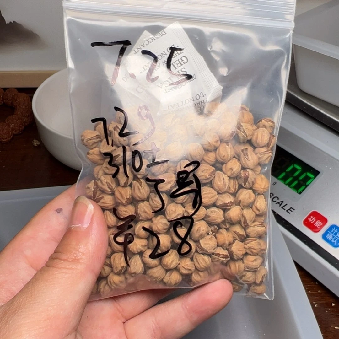 柏香籽/百香籽吊坠J****n