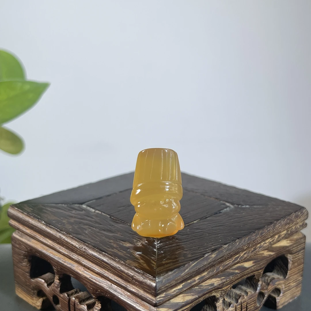 JTA13-02 阿拉善-小熊
