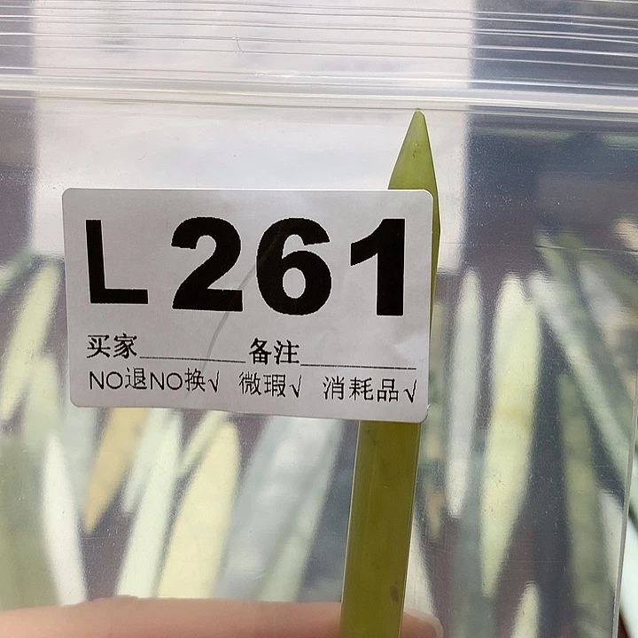 透闪石-蛇纹石玉发饰未镶嵌财*