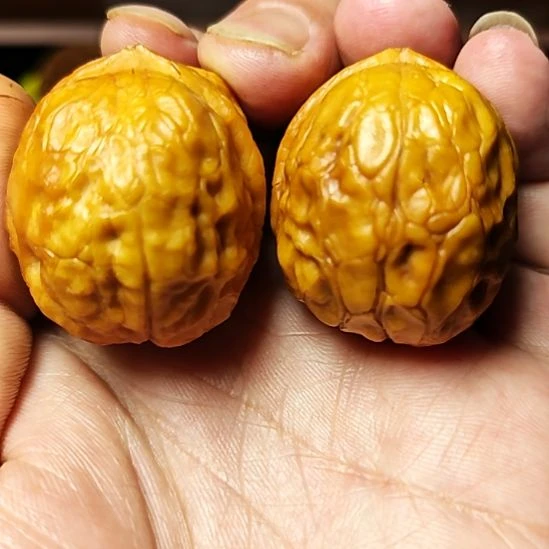 把件文玩核桃莽纹七彩蛤蟆头骨质密度超高(2)