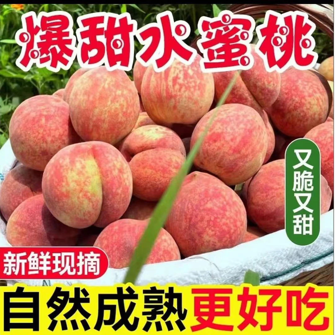 正宗产地现摘水蜜桃新鲜水果甜脆多汁当季软桃