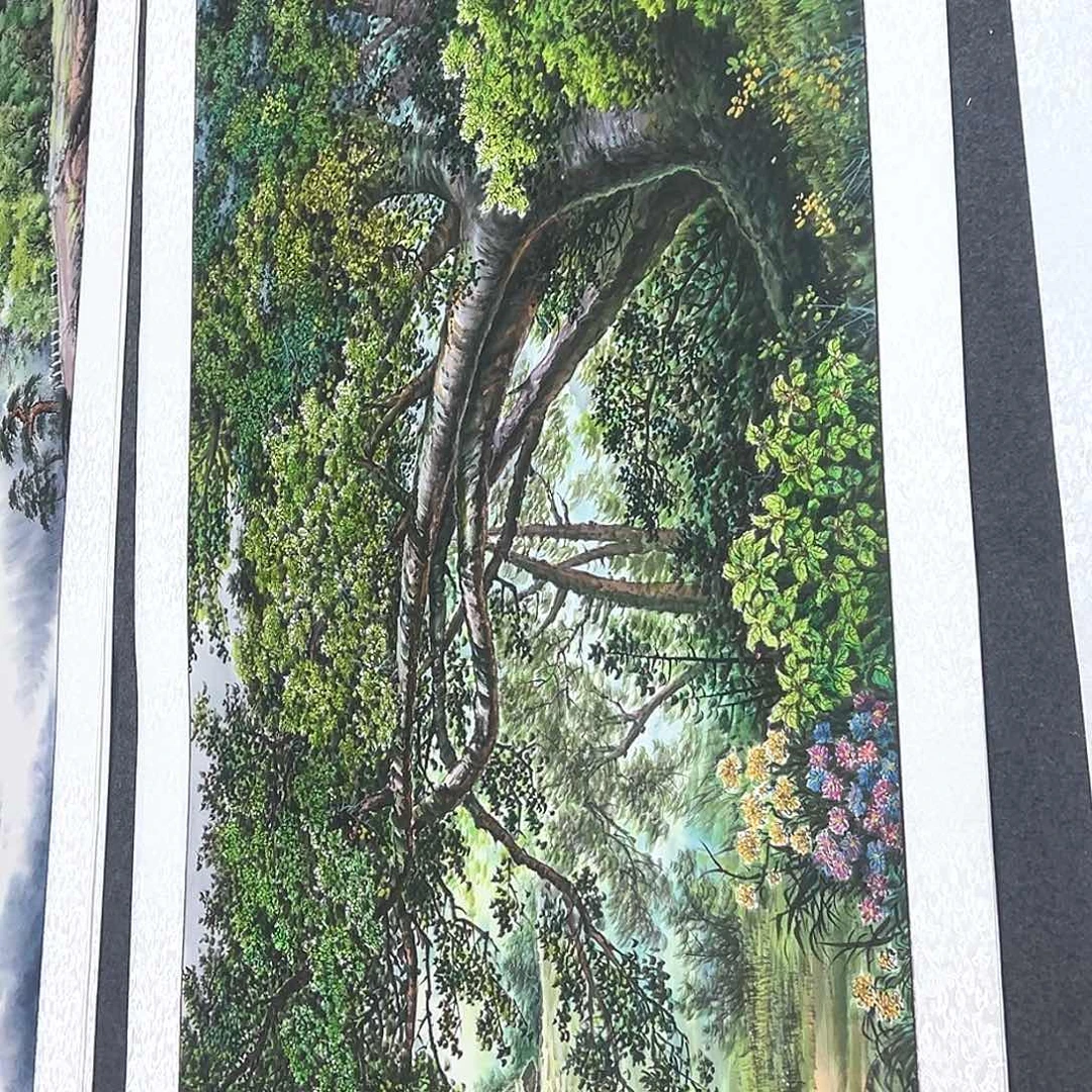 竖款惊喜不断啊哈哈啊