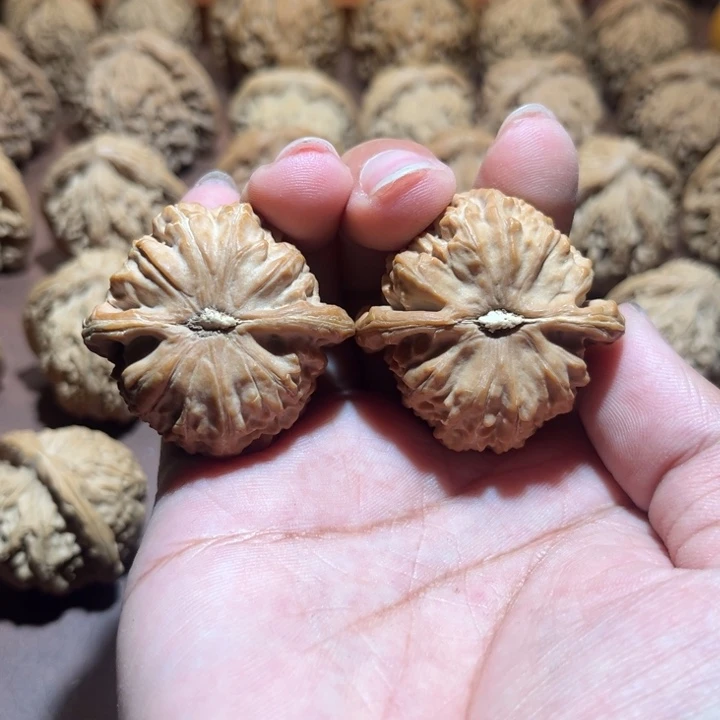 赤***玉核桃手串/手链白狮子38尺寸尖有点浮黄
