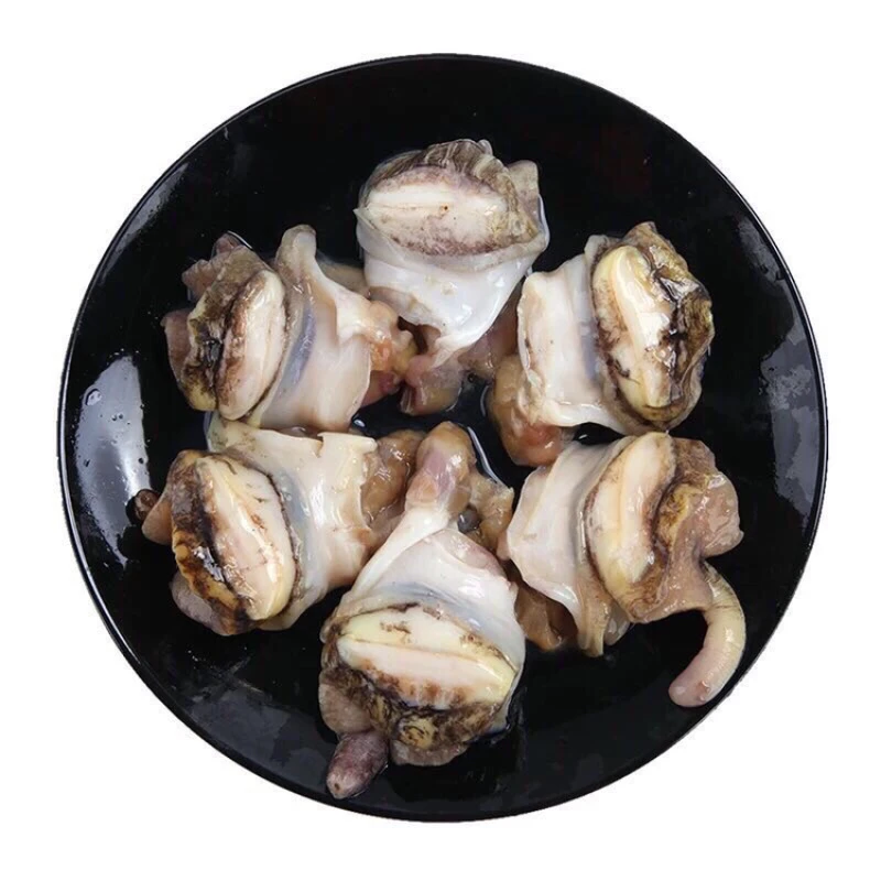 海螺头,活海螺加工海螺头肉,去内脏-每斤9-10个顺丰包邮