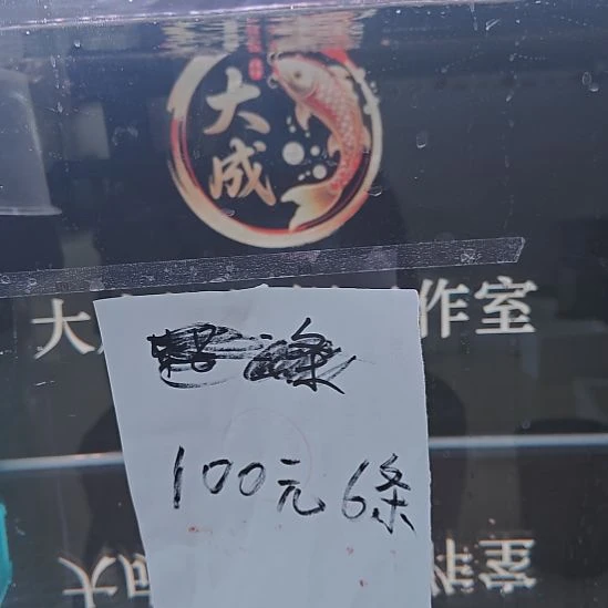 海水秋*大成蝴蝶鲤关注大成蝴蝶鲤