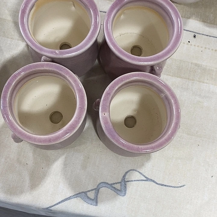 花盆抢购清货马上开始