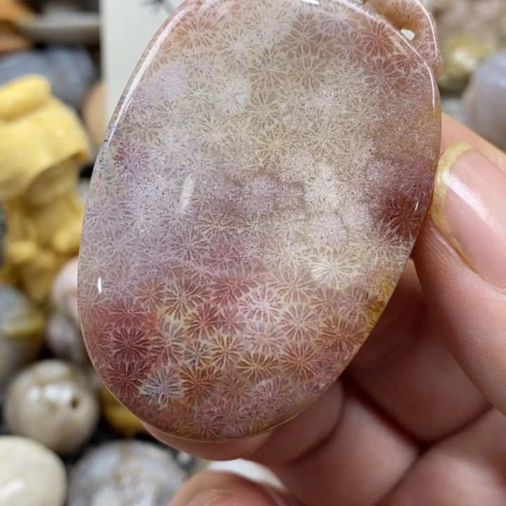 硅化珊瑚（珊瑚玉）未镶嵌颈饰