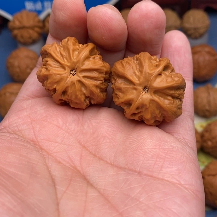 文玩核桃把件S***t小霸王龙