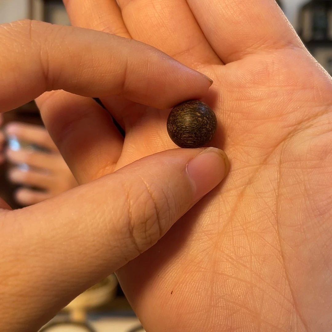 沉香沉香碎屑文莱1g,12mm