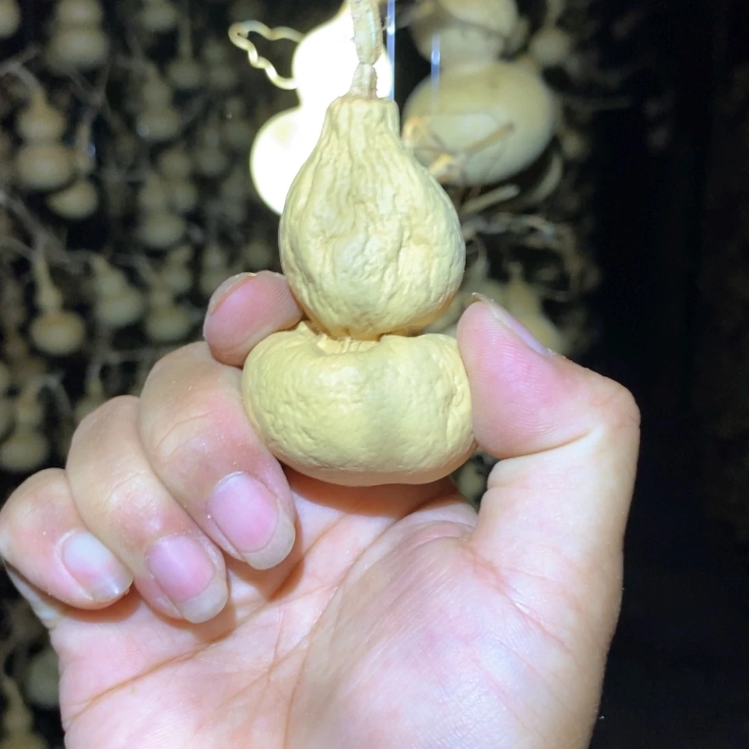 佐*尔葫芦葫芦葫芦葫芦葫芦