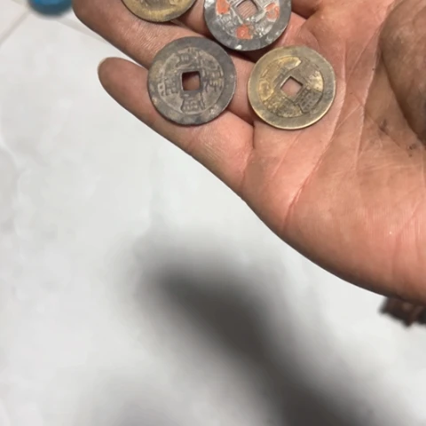 核桃木/黑胡桃（胡桃木）人**美