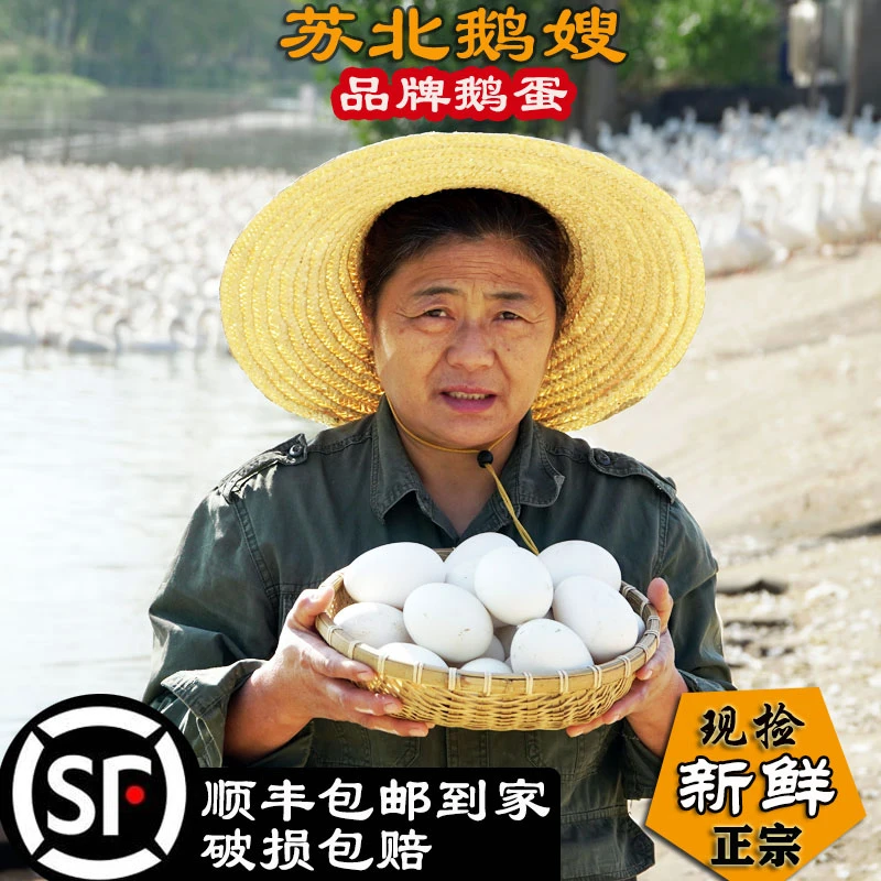 【220g以上】8枚新鲜大鹅蛋五谷喂养正宗土鹅蛋无腥味现捡现发