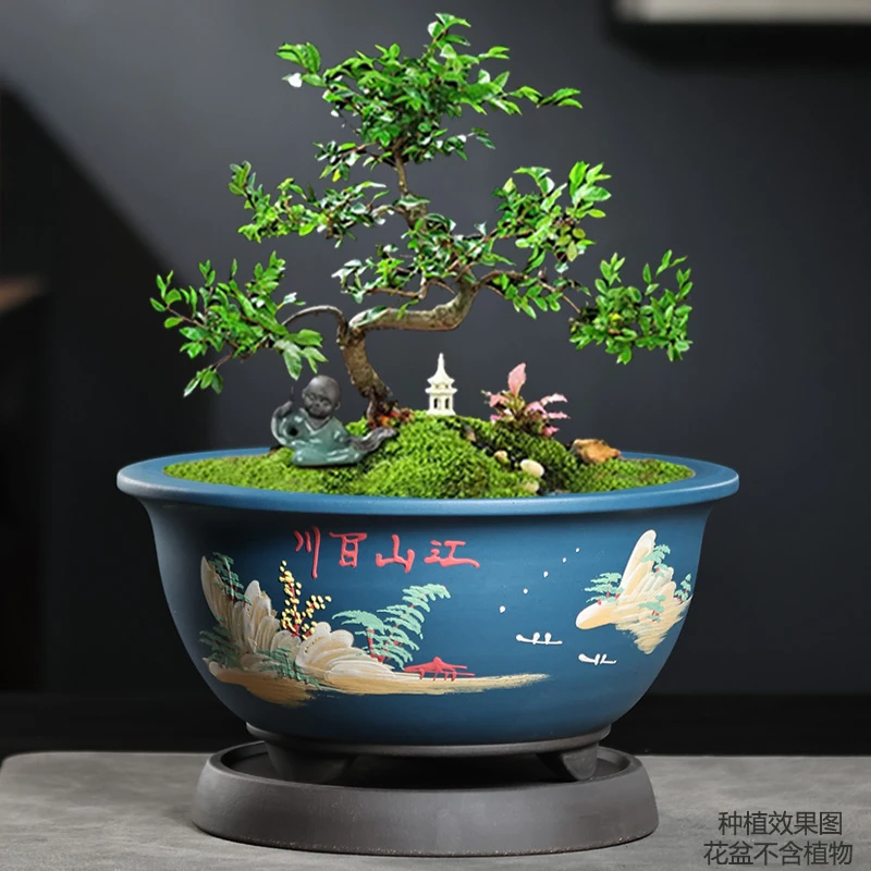 精品紫砂盆景盆带托盘矮圆蝴蝶兰松树金弹子文竹绿植盆景花盆家用