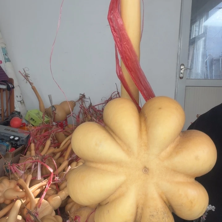 吉***8直播间链接价格链接