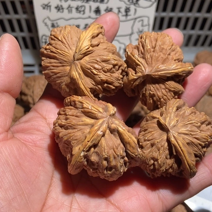 墨***～核桃白狮子异形都有黄4个
