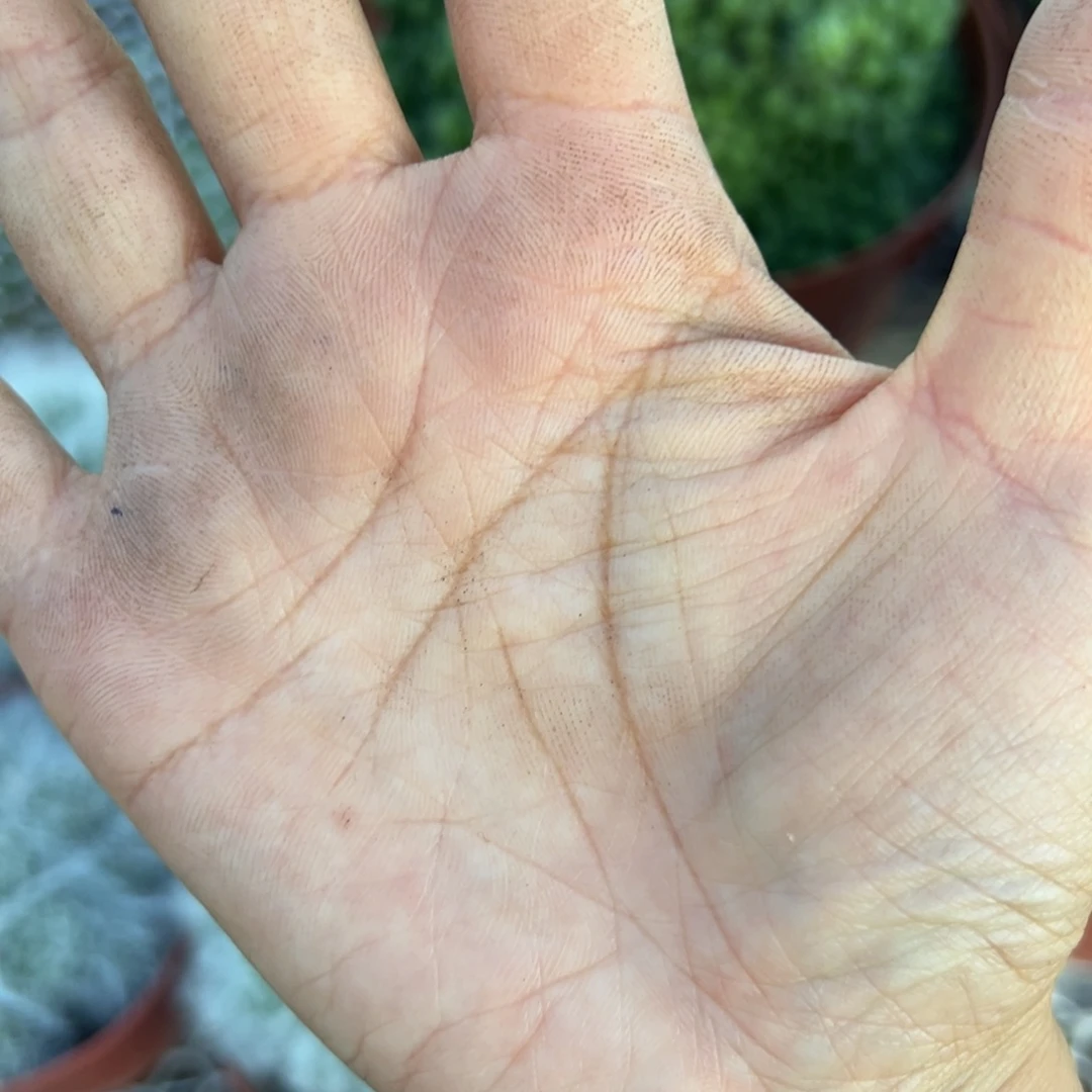 勋****余额151 零零落落 零零落落