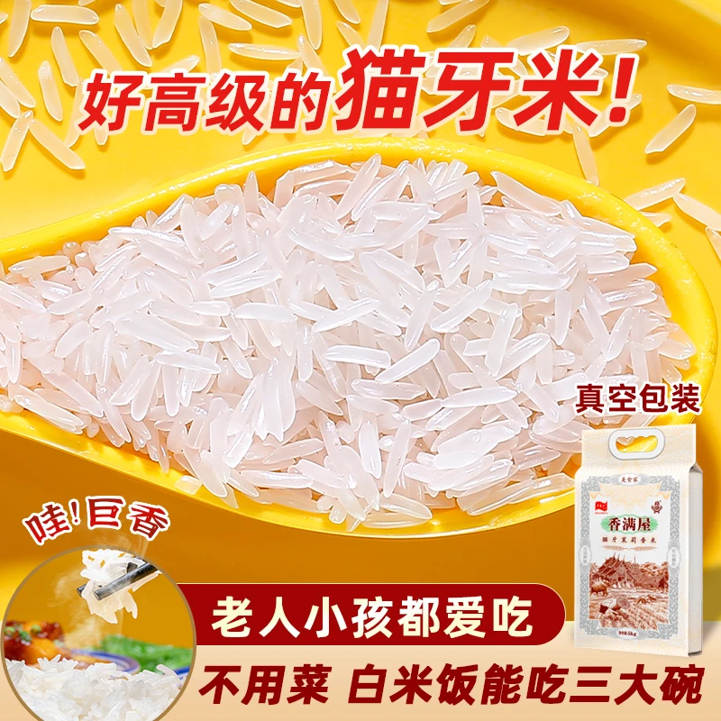 正宗猫牙米25新米长粒香大米现磨现发生态梯田软糯优质孩子爱吃