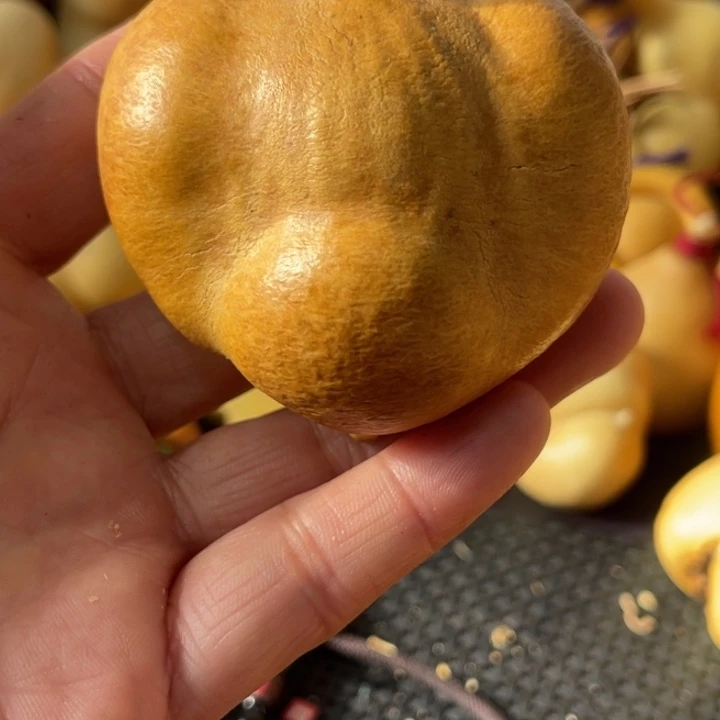 青***悔葫芦哈哈哈哈哈哈哈哈