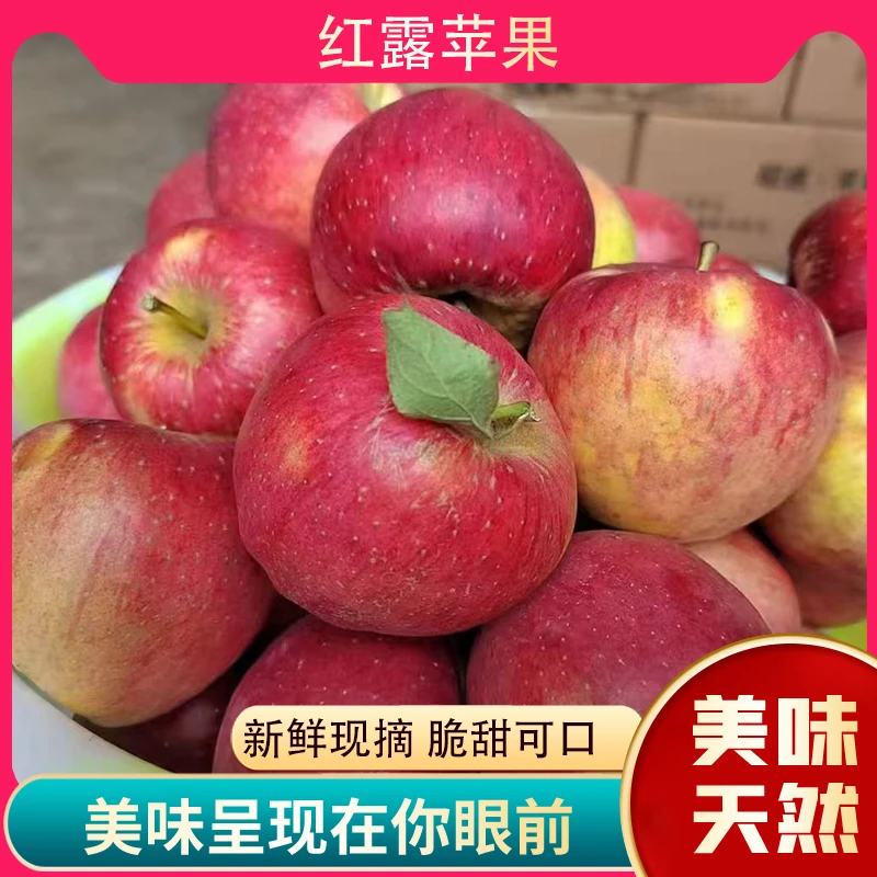 云南昭通新鲜现摘脆甜丑苹果脆甜多汁冰糖心解馋水果原产地直供